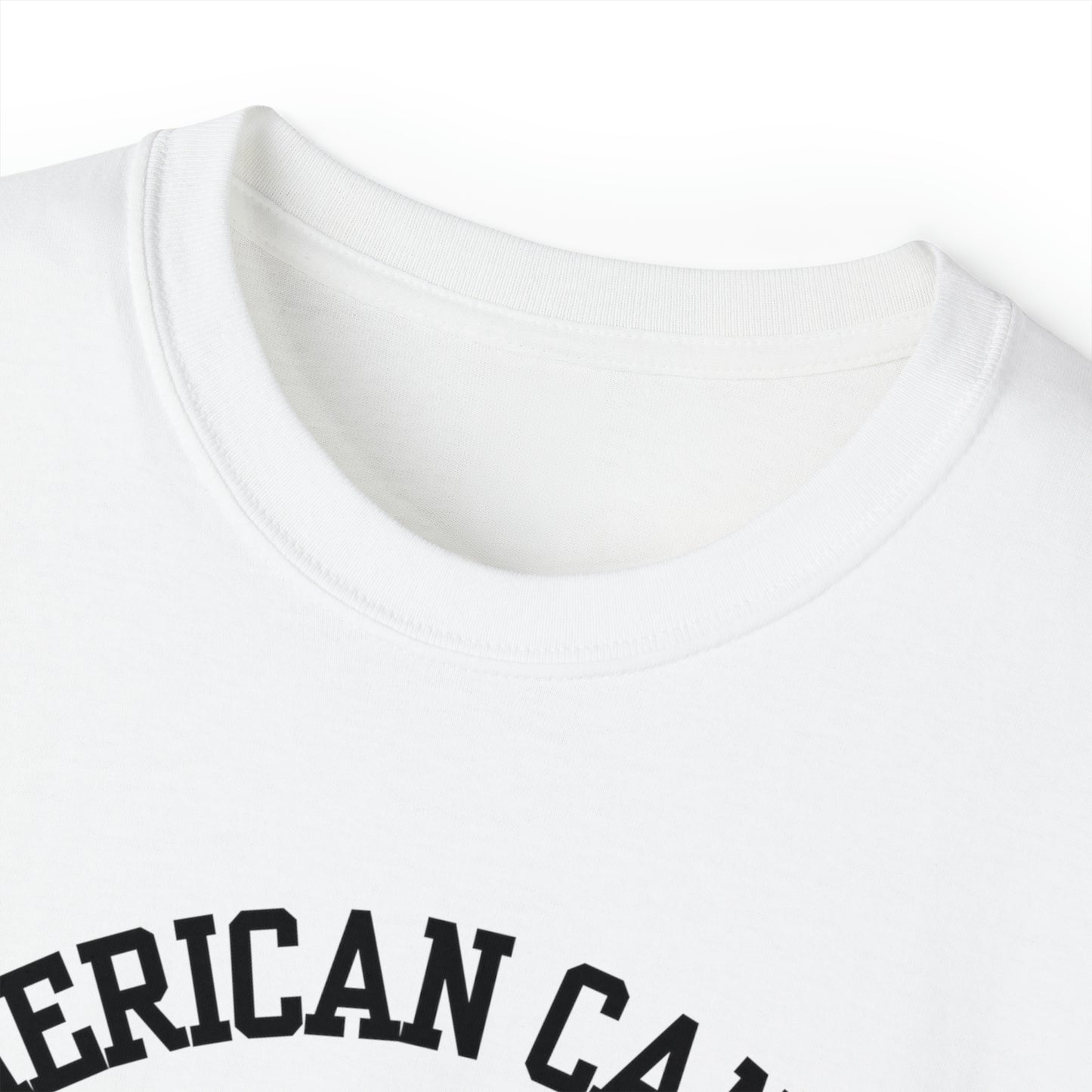 Men's American Canyon Tee